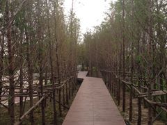 -武清南湖绿博园