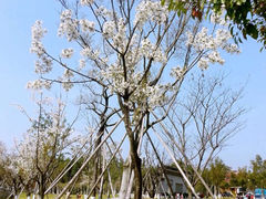 横山水库-横山水库
