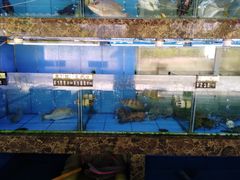 -龙溪海鲜酒家(溪涌店)