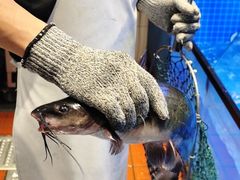 -鱼酷活鱼烤鱼(恒隆广场店)