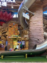 -卡通尼·Safari非洲探索乐园·生日会(金桥国际商业广场店)