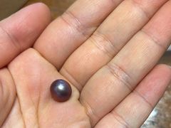 -十八字金·银饰·开蚌DIY·手工体验团建(富力广场店)
