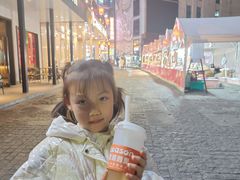 -iceason爱茜茜里·意大利健康冰淇淋(骑龙巷店)