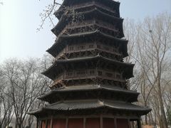-北京世界公园