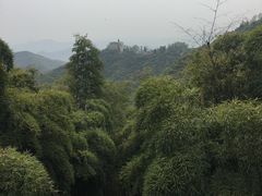-莫干山风景区