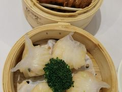 -星湖愉景酒家