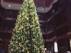 -三亚亚龙湾雅高铂尔曼别墅度假酒店