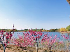 -东郊湿地公园
