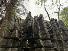 -梭布垭石林景区