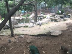 -燕塞湖鸟语林景区
