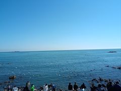 -海合安青岛极地海洋公园