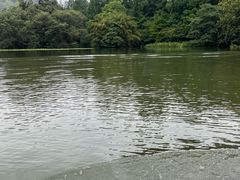 -西湖游船