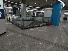 -东方体育中心(地铁站)