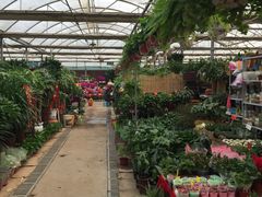 -秦美花卉(天朗·莱茵小城2期店)
