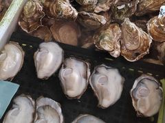 -南沙十九涌渔人码头-南门