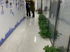 -新航道雅思托福·留学·考研培训(人民广场校区)