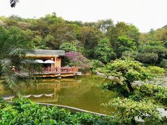 -云溪植物园