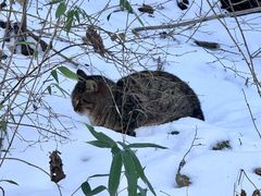 -终南山南五台景区