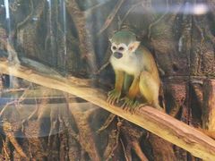 -北戴河圣蓝海洋公园