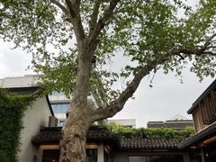 -鲤院·新中式美学·庭院餐厅(夫子庙店)