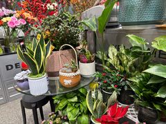 -FEI FEI FLOWER鲜花店·气球派对·宝宝宴布置(虹口德必运动Loft店)