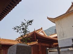 -深圳仙湖植物园