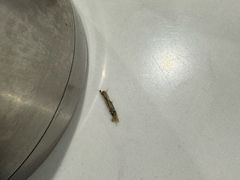 -韶山冲湘菜馆(黄桦路店)