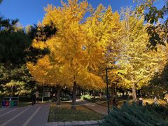 -元大都城垣遗址公园