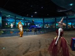 -青岛嘉年华主题乐园