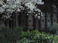 -莫愁湖公园