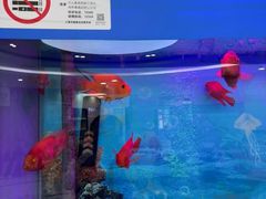 -雅悦齿科(顾村公园店)