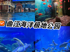 -西安曲江海洋极地公园