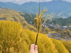 -龙脊梯田