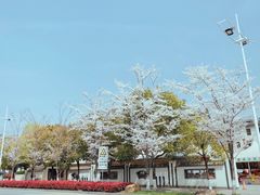 -几荷·恰似故人来(秀水广场店)