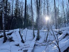 -峡谷浮石林景区