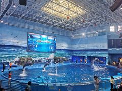 -多彩贵州城极地海洋世界