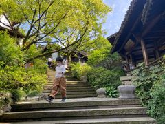 -中国茶叶博物馆(双峰馆区)
