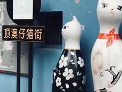 -猫咪博物馆(顶澳仔猫街店)