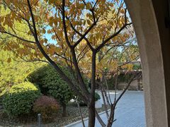 -静园(和平区)