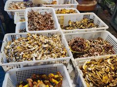 自助取餐区-菌窝子野生菌火锅(学府路店)