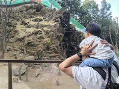 -栾川竹海野生动物园