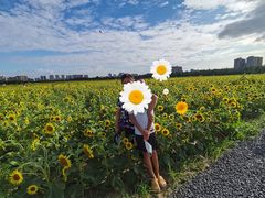 -汉长安城未央宫国家考古遗址公园