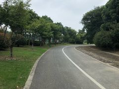 -尚贤河湿地