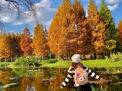 -贵阳市花溪国家城市湿地公园