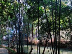 -林丰温泉度假山庄