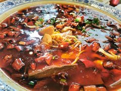 -院8里·少城记忆老川菜(宽窄巷子店)