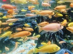 -太平洋海底世界