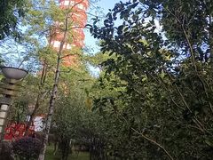 -分塔山省级森林公园