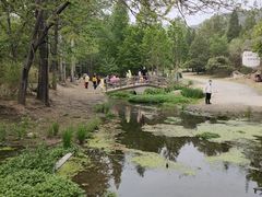-白水寺森林公园