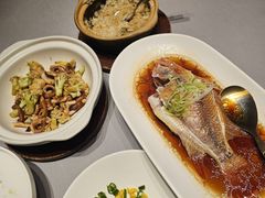 清蒸东星斑-徐记海鲜(南油永新汇店)